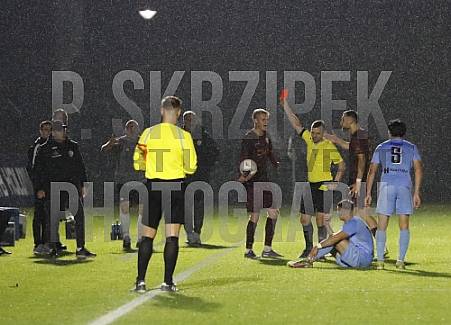 12.Spieltag BFC Dynamo - FC Viktoria 1889 Berlin