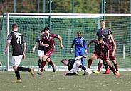 9.Spieltag BFC Dynamo U19 - FSV Zwickau U19,