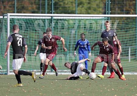 9.Spieltag BFC Dynamo U19 - FSV Zwickau U19,