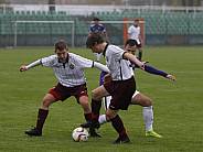 11.Spieltag BFC Dynamo U19 - FC Erzgebirge Aue U19,