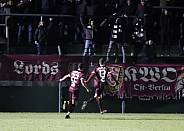 18.Spieltag BFC Dynamo - ZFC Meuselwitz,