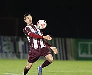 28.Spieltag BFC Dynamo - Hertha BSC II,
