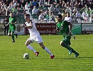 29.Spieltag BSG Chemie Leipzig - BFC Dynamo