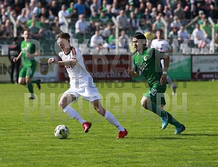 29.Spieltag BSG Chemie Leipzig - BFC Dynamo