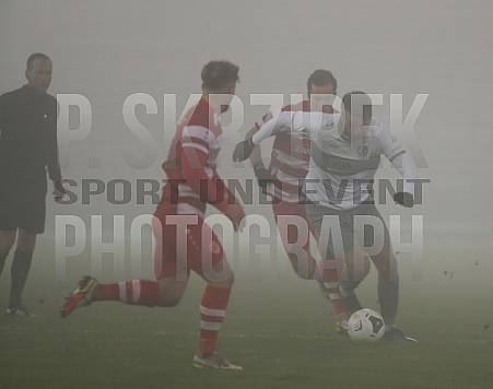 21.Spieltag FC Energie Cottbus - BFC Dynamo,