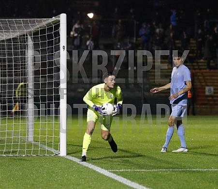 12.Spieltag BFC Dynamo - FC Viktoria 1889 Berlin