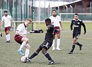 15.Spieltag BFC Dynamo U19 - Berliner SC U19