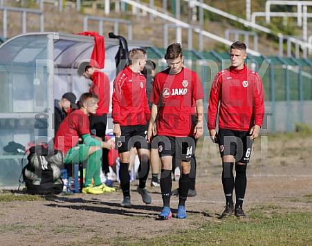 8.Spieltag BFC Dynamo U19 - FC Energie Cottbus U19 ,