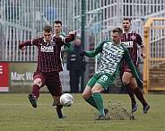 17.Spieltag BSG Chemie Leipzig - BFC Dynamo