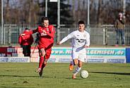 20.Spieltag ZFC Meuselwitz - BFC Dynamo