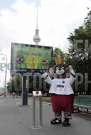 Werbung mit Teddy für die 1.Runde im DFB-Pokal