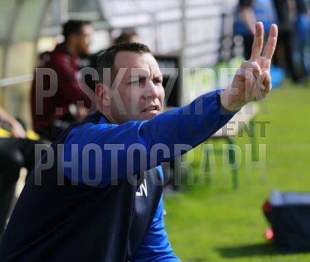 29.Spieltag BSG Chemie Leipzig - BFC Dynamo