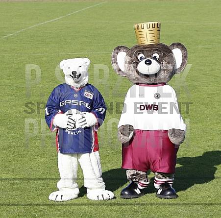 Kitajade 2019 Kitajade 2019