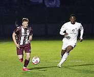 35.Spieltag BFC Dynamo - Tennis Borussia Berlin,