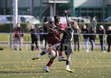 8.Spieltag BFC Dynamo U17 - 1.FC Union U16