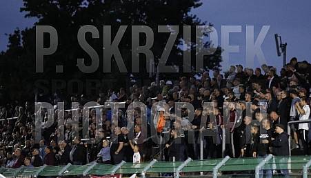 6.Spieltag BFC Dynamo - SV Tasmania Berlin,