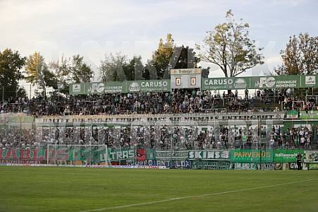 9.Spieltag BSG Chemie Leipzig - BFC Dynamo 9.Spieltag BSG Chemie Leipzig - BFC Dynamo