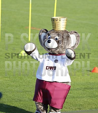 Kitajade 2019 Kitajade 2019