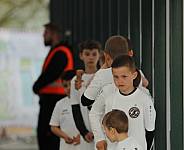 35.Spieltag BFC Dynamo - Tennis Borussia Berlin,