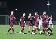 17.Spieltag BFC Dynamo - Lichtenberg 47,