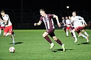 24.Spieltag BFC Dynamo - ZFC Meuselwitz,