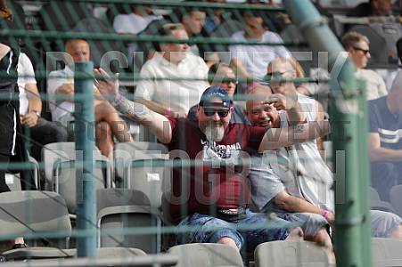 Testspiel BFC Dynamo - Hertha BSC