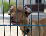 NBW Kicker , Menschen mit Handycap ,