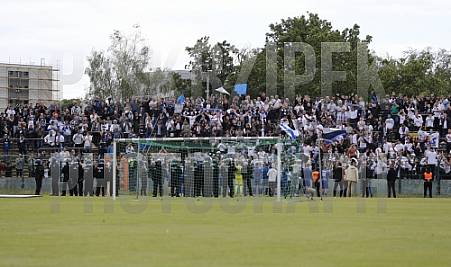 Hinspiel Relegation BFC Dynamo - VfB Oldenburg