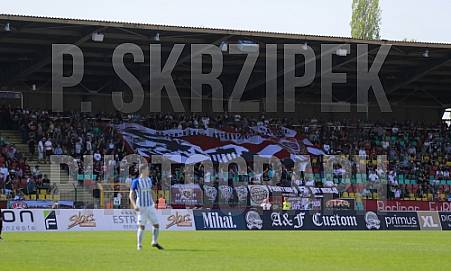 31.Spieltag BFC Dynamo - Hertha BSC II ,