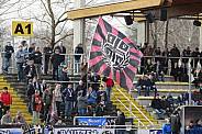 25.Spieltag FSV Budissa Bautzen - BFC Dynamo