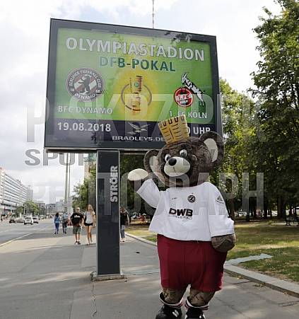 Werbung mit Teddy für die 1.Runde im DFB-Pokal
