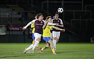 16.Spieltag BFC Dynamo - FSV 63 Luckenwalde