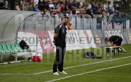 32. Spieltag BFC Dynamo - Hallescher FC