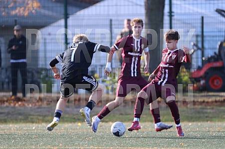 8.Spieltag BFC Dynamo U17 - 1.FC Union U16