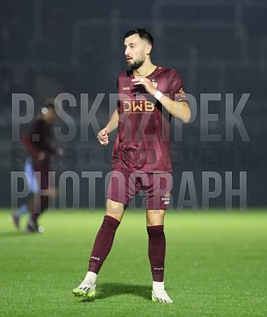 12.Spieltag BFC Dynamo - FC Viktoria 1889 Berlin