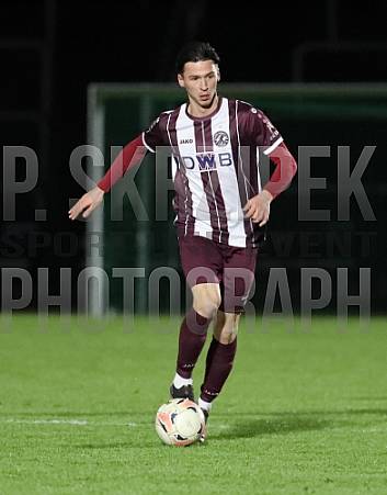 24.Spieltag BFC Dynamo - ZFC Meuselwitz,