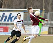 25.Spieltag FSV Budissa Bautzen - BFC Dynamo