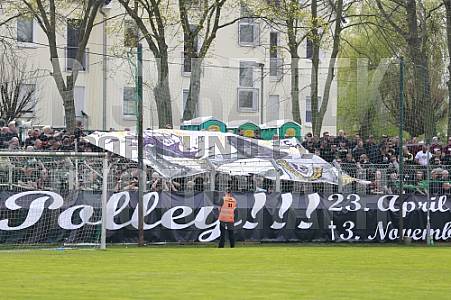 29.Spieltag BSG Chemie Leipzig - BFC Dynamo