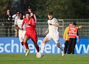 21.Spieltag ZFC Meuselwitz - BFC Dynamo