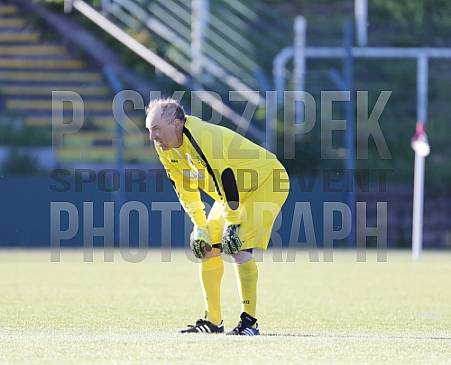 BFC Dynamo - BFC Dynamo Allstars Team,