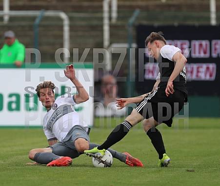 8.Spieltag BFC Dynamo - Tennis Borussia Berlin,