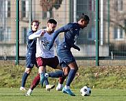 Testspiel BFC Dynamo - SV Babelsberg 03,