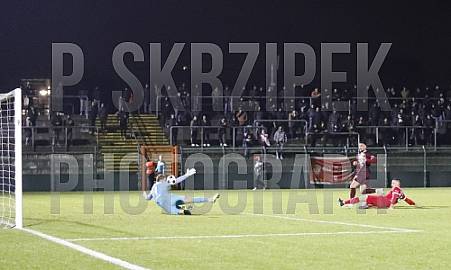 24.Spieltag BFC Dynamo - Greifswalder FC