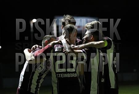 24.Spieltag BFC Dynamo - ZFC Meuselwitz,