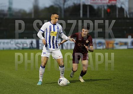 28.Spieltag BFC Dynamo - Hertha BSC II