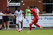 Testspiel FC Hertha 03 Zehlendorf - BFC Dynamo