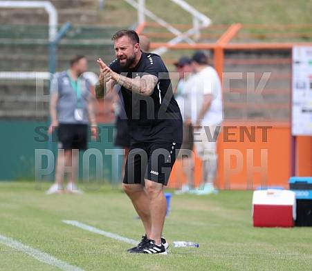 Testspiel BFC Dynamo - VfB Lübeck 1919,