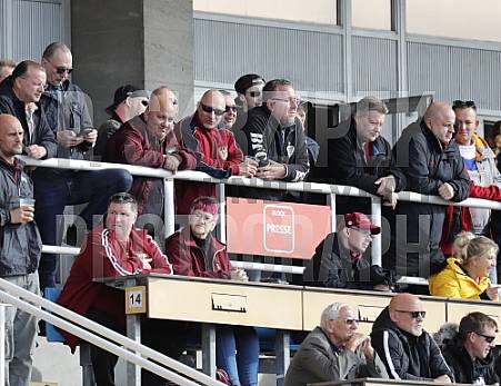 11.Spieltag BFC Dynamo - VfB Auerbach,