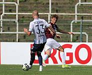 1. Runde DFB-Pokal BFC Dynamo - VfL Bochum 1848