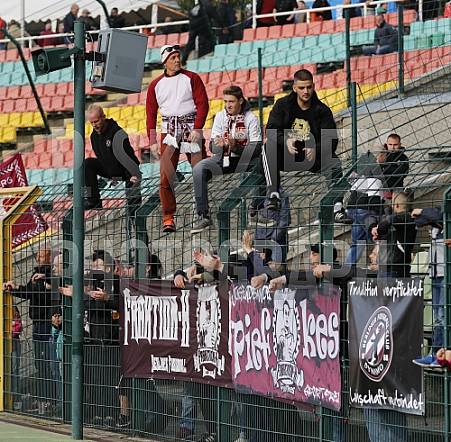 11.Spieltag BFC Dynamo - VfB Auerbach, 11.Spieltag BFC Dynamo - VfB Auerbach,